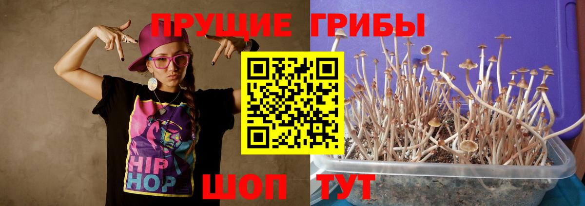 Псилоцибиновые грибы ЛСД Луга